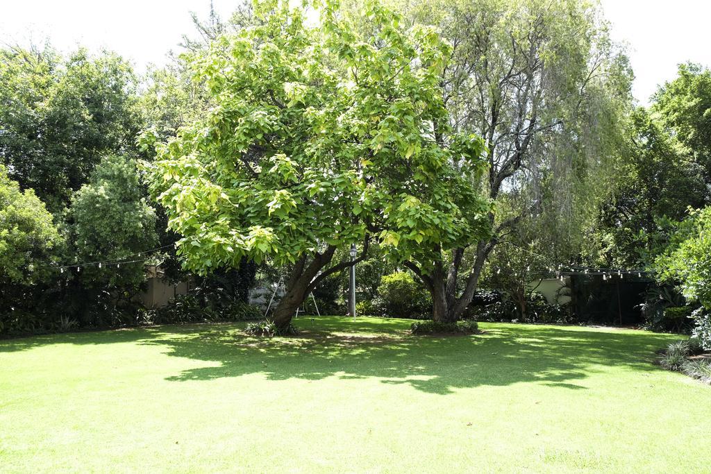 Waterkloof Guest House Pretoria-Noord Dış mekan fotoğraf